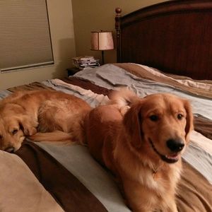 Meet your Posher, Nichole